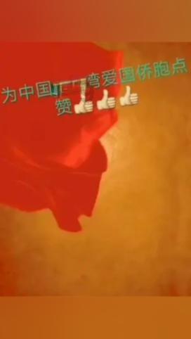 漂亮鹦鹉救援